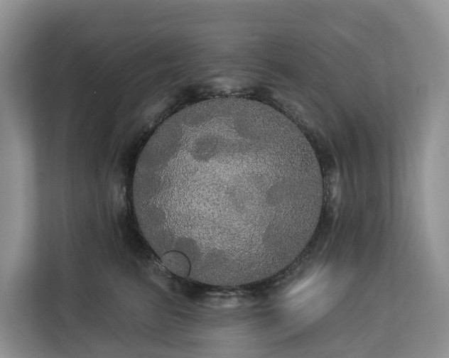 X0000113060615200908281135