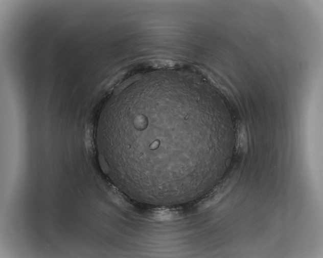 X0000113060616200908281135