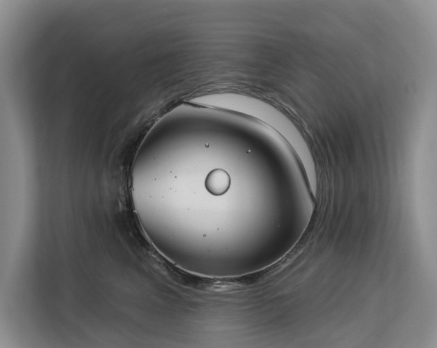X0000113060617200908281135