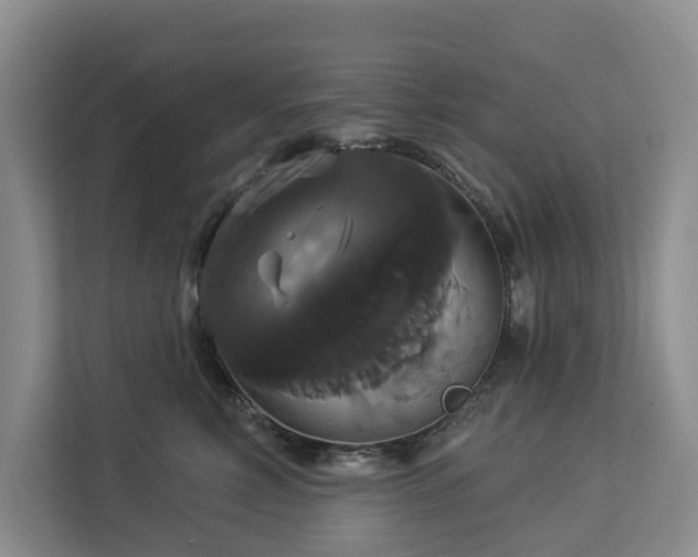 X0000113060618200908281135