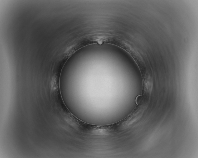 X0000113060620200908281135