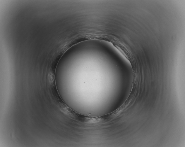 X0000113060621200908281135
