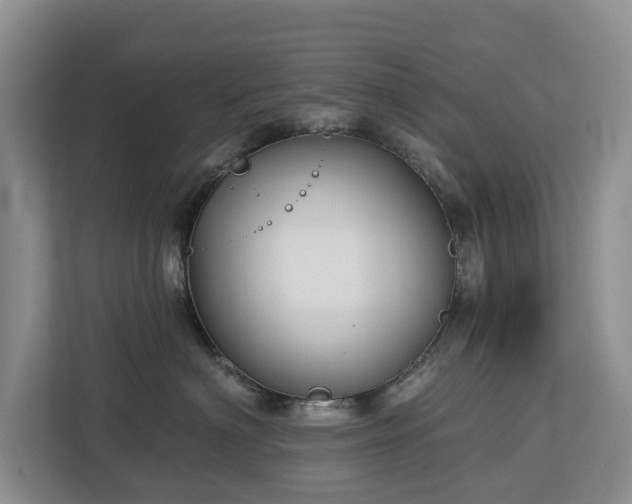 X0000113060622200908281135