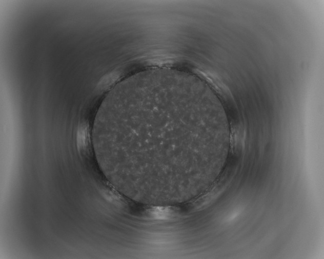 X0000113060623200908281135