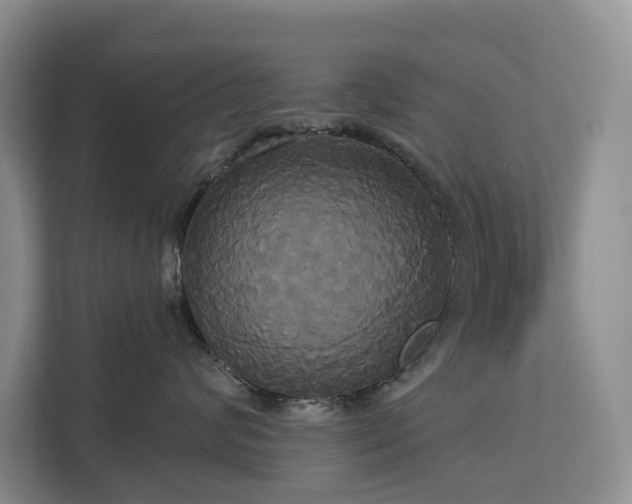 X0000113060624200908281135