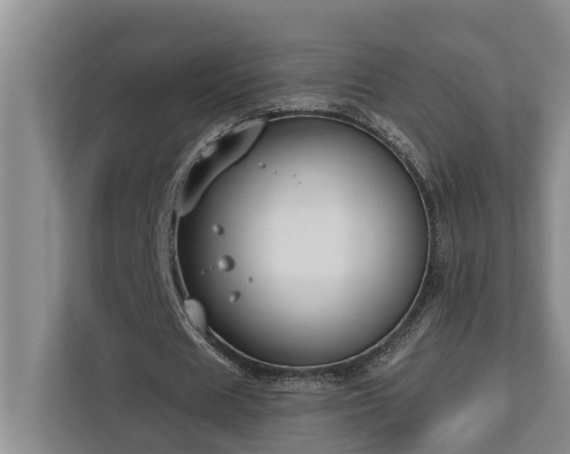 X0000113060625200908281135