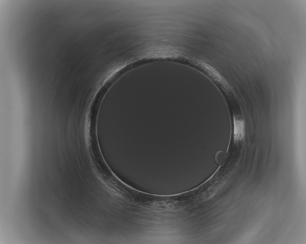 X0000113060627200908281135