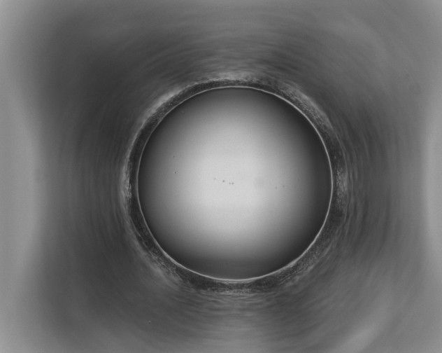 X0000113060628200908281135