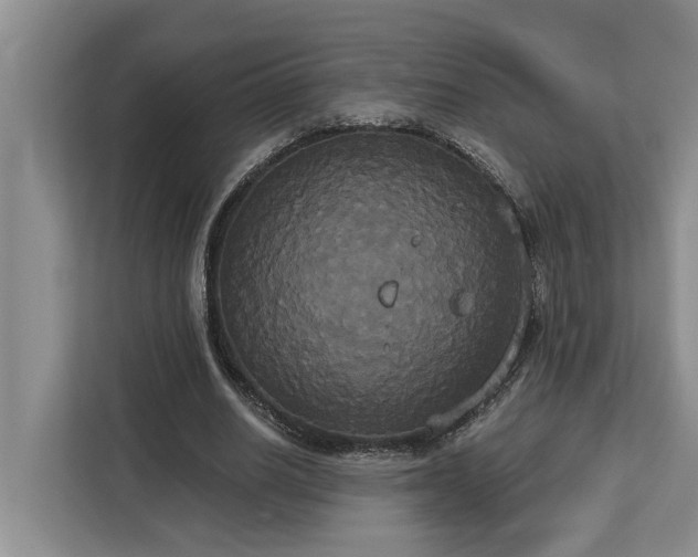 X0000113060630200908281135