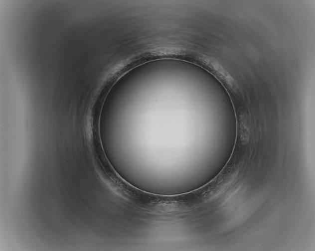 X0000113060631200908281135