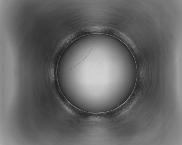 X0000113060633200908281135