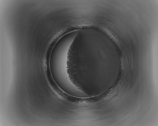 X0000113060634200908281135