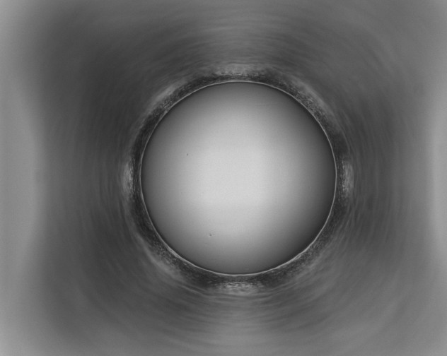 X0000113060636200908281135