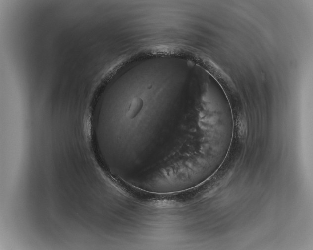 X0000113060637200908281135