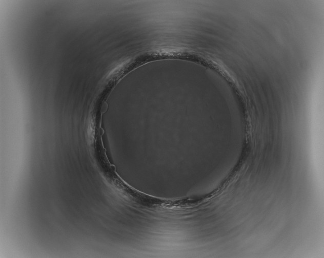 X0000113060640200908281135