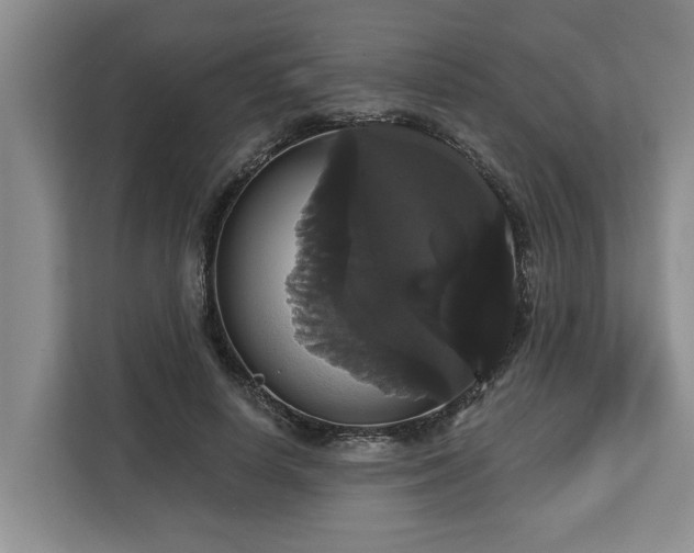 X0000113060642200908281135