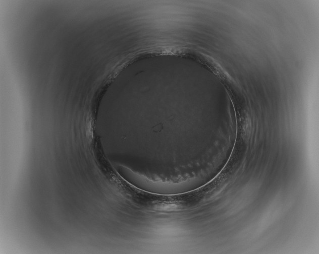 X0000113060643200908281135