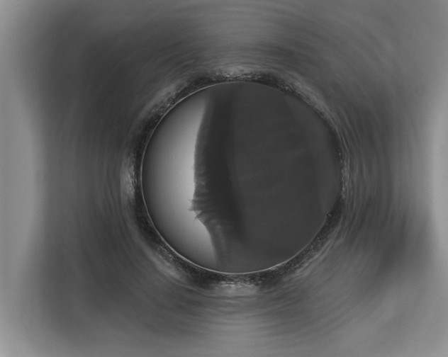 X0000113060644200908281135