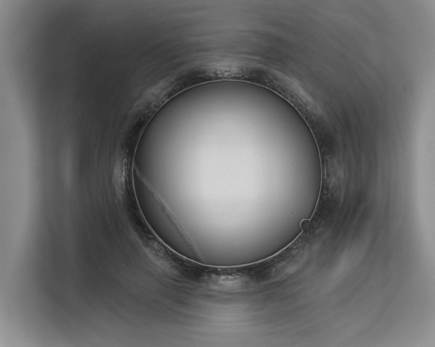X0000113060645200908281135