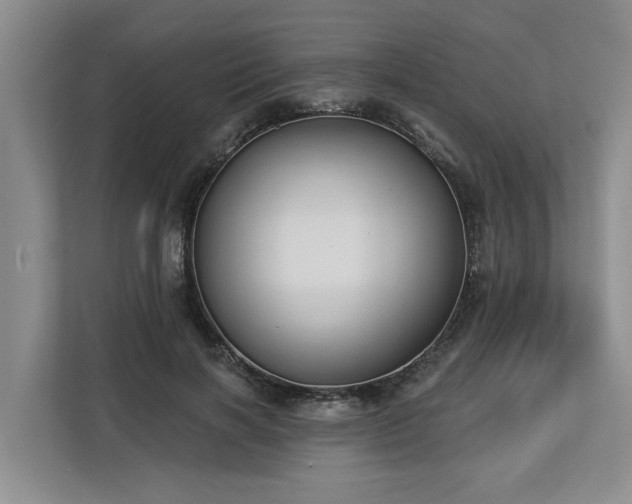 X0000113060646200908281135