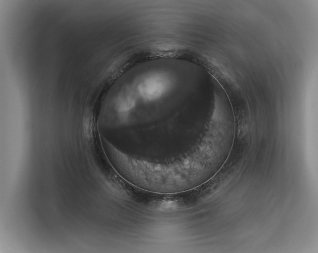 X0000113060647200908281135