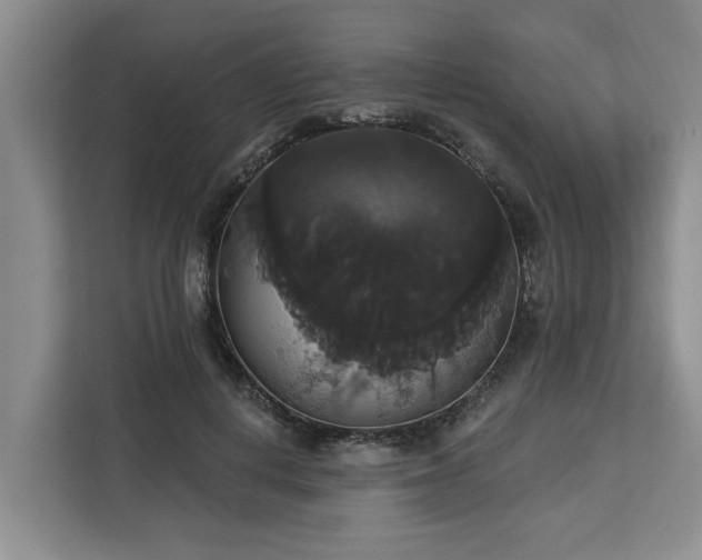 X0000113060648200908281135