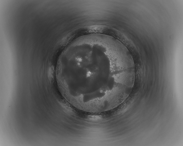 X0000113060649200908281135