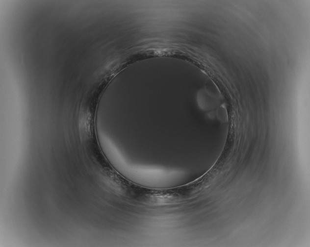 X0000113060650200908281135