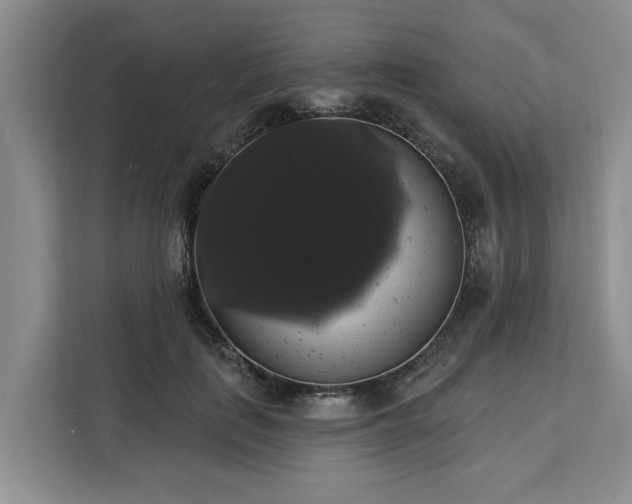 X0000113060651200908281135