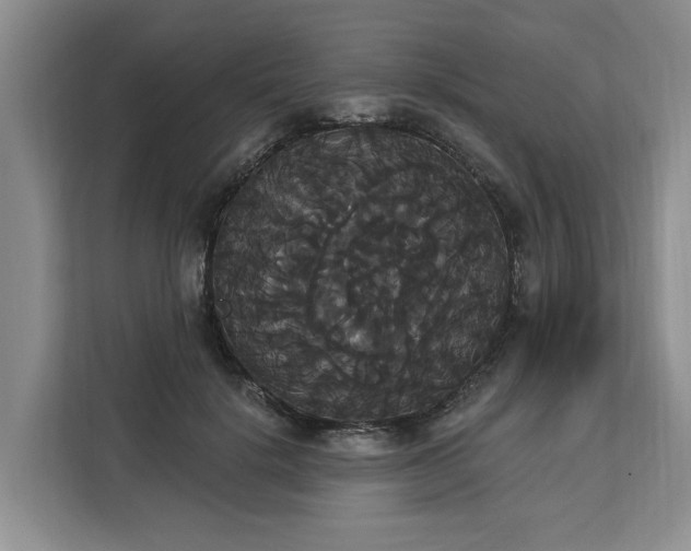 X0000113060652200908281135