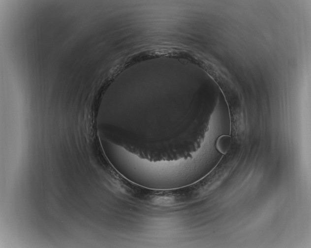 X0000113060653200908281135