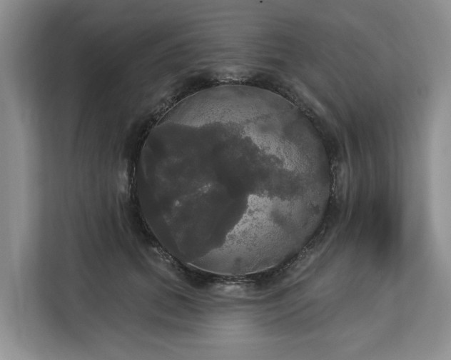 X0000113060655200908281135