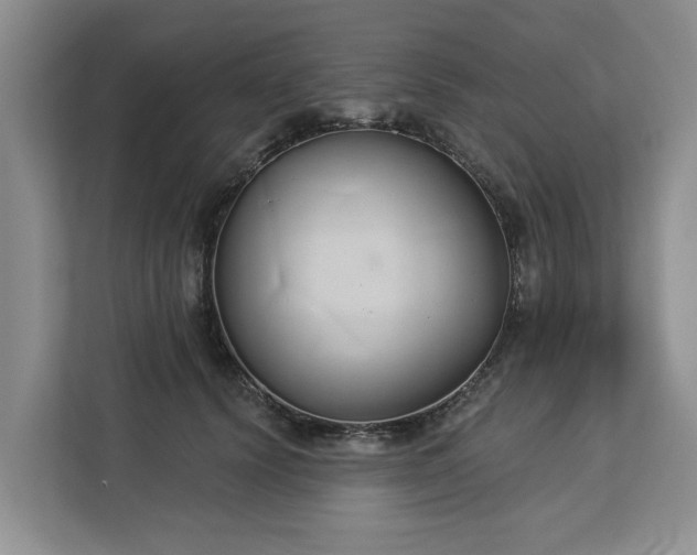 X0000113060656200908281135