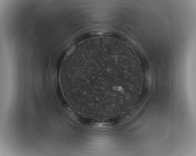 X0000113060657200908281135
