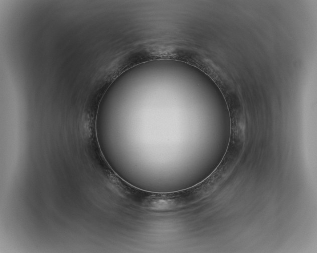 X0000113060658200908281135