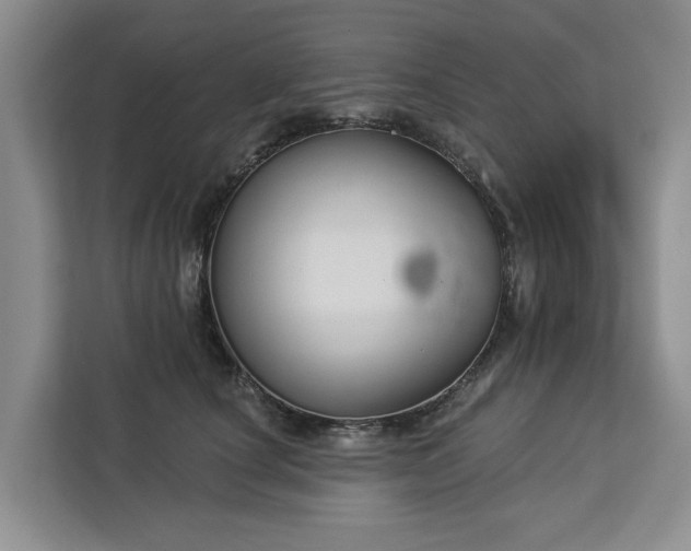 X0000113060660200908281135