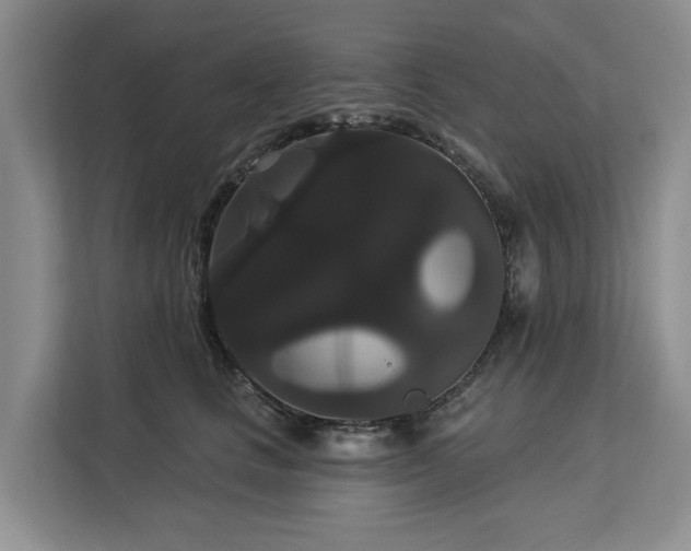 X0000113060661200908281135