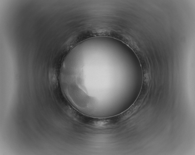 X0000113060662200908281135