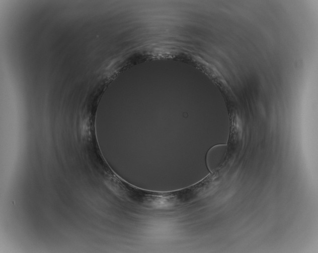 X0000113060663200908281135