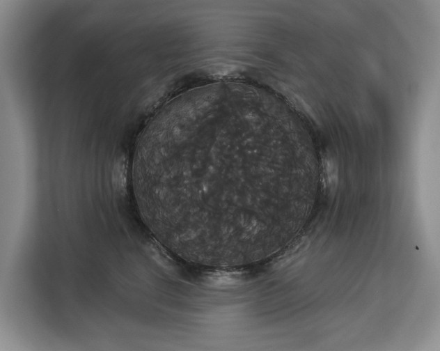 X0000113060664200908281135