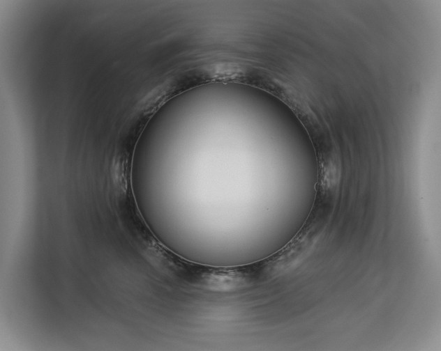 X0000113060666200908281135