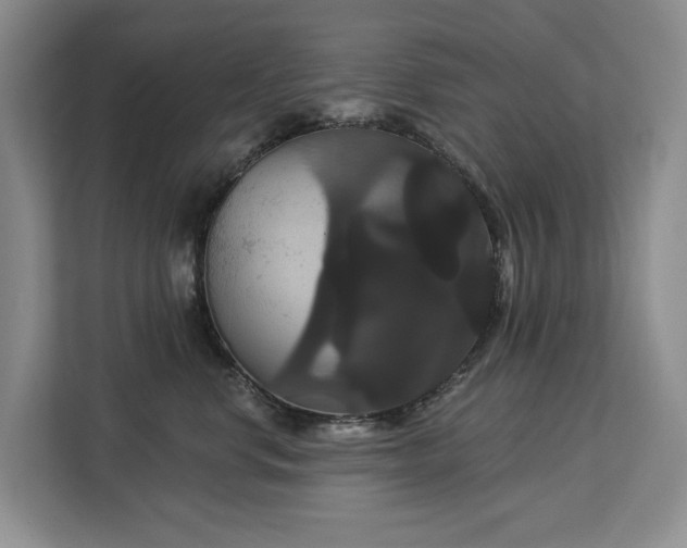 X0000113060668200908281135