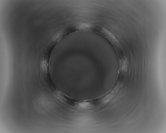 X0000113060669200908281135