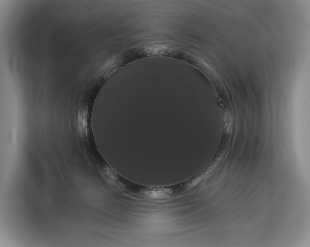 X0000113060670200908281135