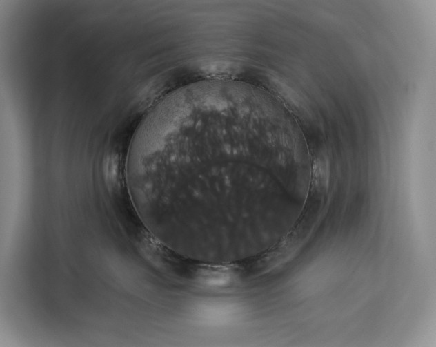 X0000113060671200908281135
