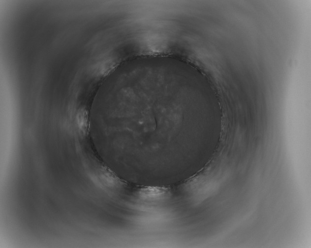 X0000113060672200908281135
