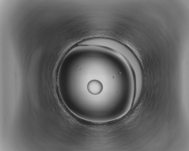 X0000113060673200908281135