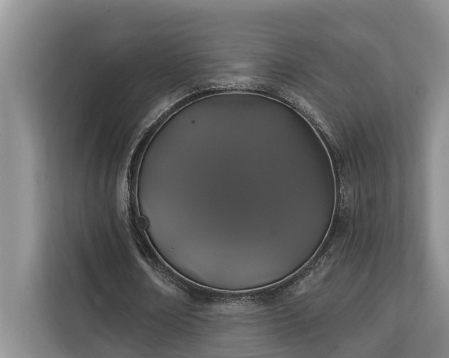 X0000113060674200908281135