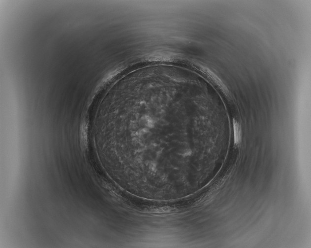 X0000113060675200908281135