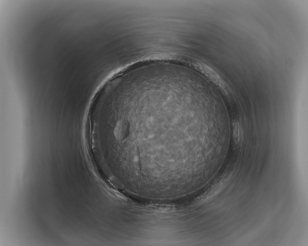 X0000113060676200908281135
